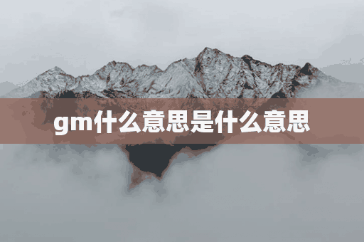 gm什么意思是什么意思